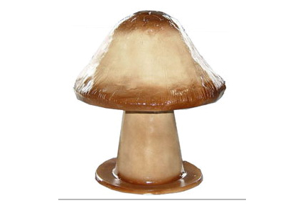 蘑菇音箱